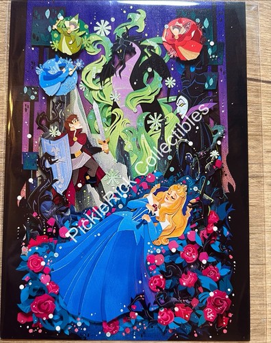 Cartolina disney wonderground - disney,