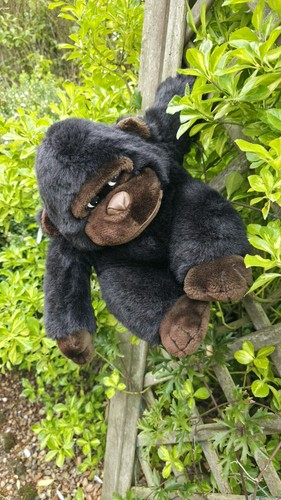 Cravatta fiocco gorilla occhi