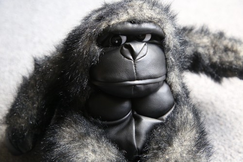 Peluche giocattolo morbido