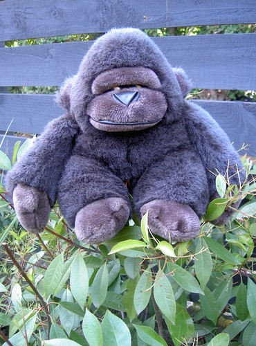 Pms peluche vintage occhi - vintage,