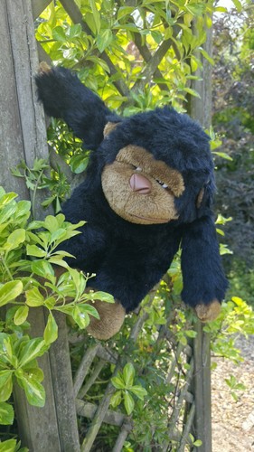 Peluche vintage cpl - grande, 14