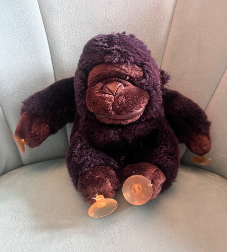 Scimmia gorilla occhio - scimmia,