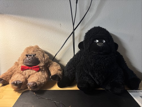 Gorilla scimmia occhio - 2,