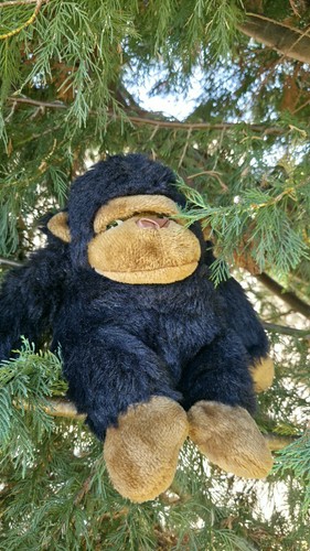 Peluche vintage cpl - peluche, 15