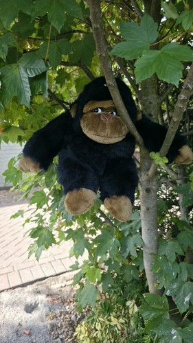 Peluche vintage cpl grande - cpl,